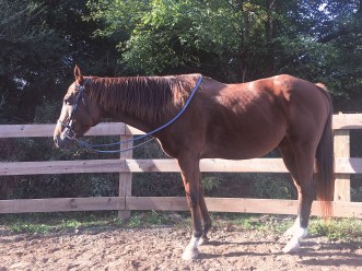 290b5737-220f-4156-a605-a8854be11f5b