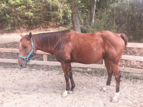 d3654b7a-347f-41f5-8ec2-06dd378f0ffc1